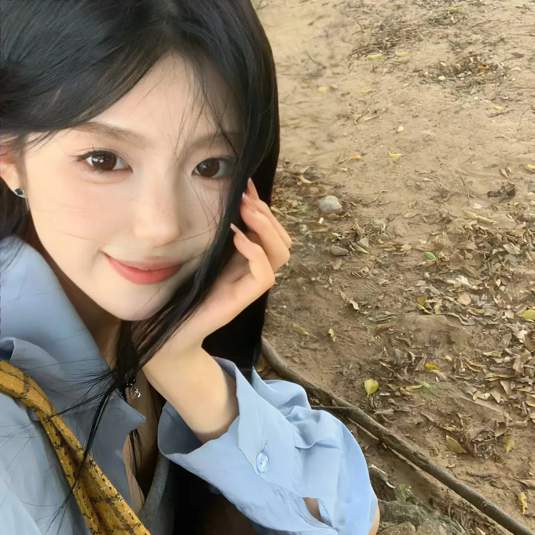 多龙芝